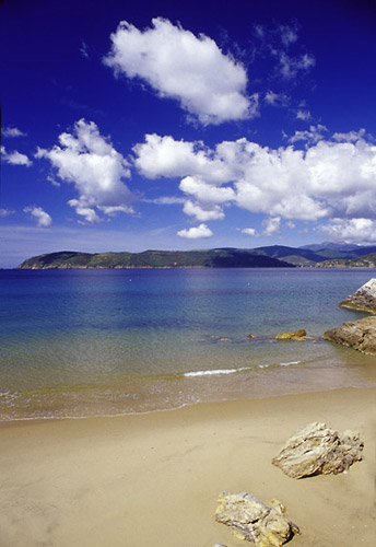 Isola d'Elba - Appartamenti Le Querce - Capoliveri - Spiaggia Le Calanchiole